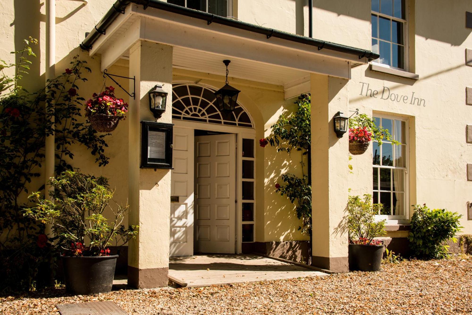 The Dove Inn Micheldever Zewnętrze zdjęcie